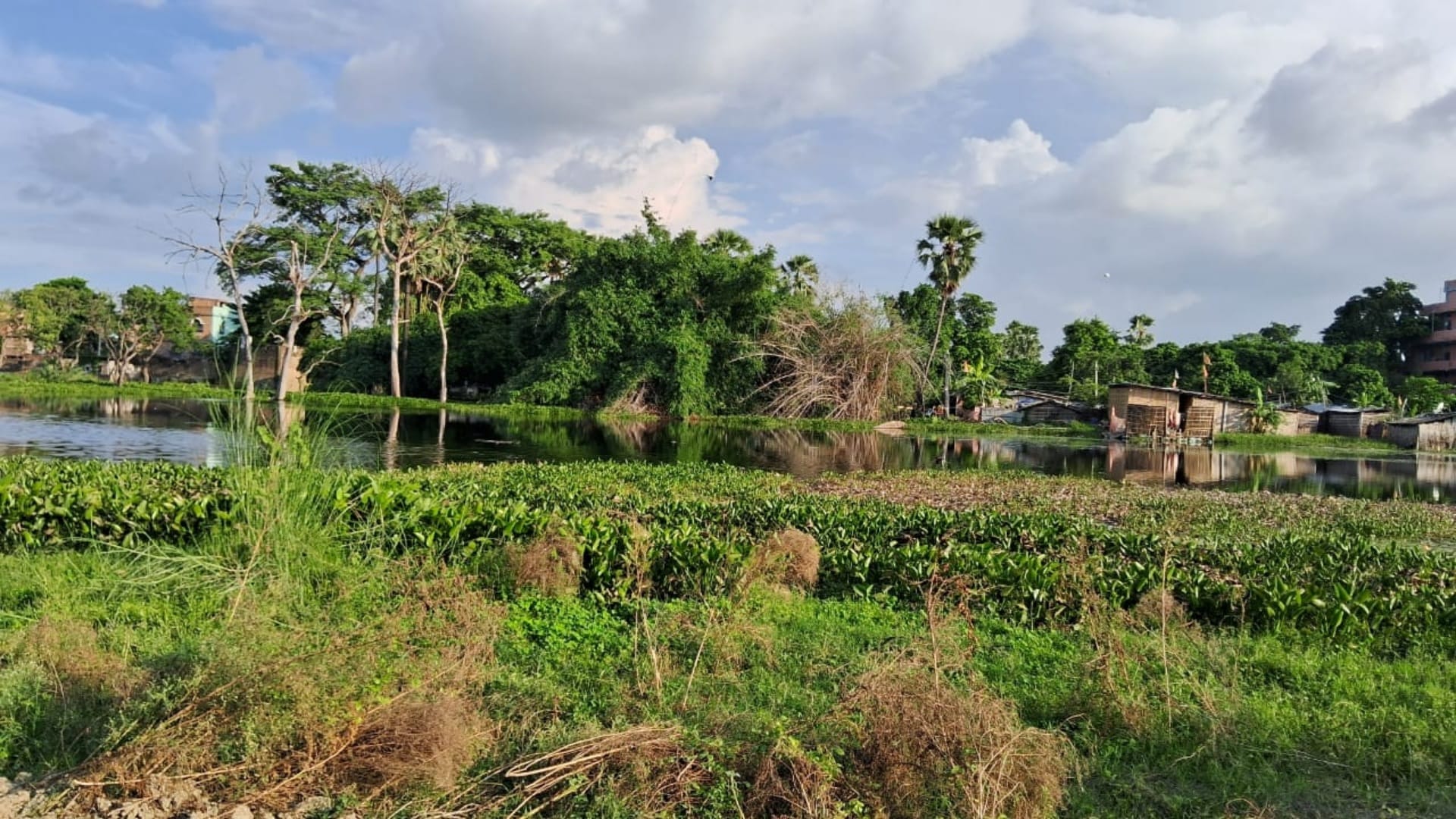 Union Budget 2024: Villagers happy with Bihar getting special package, fund for Bihar flood, flood news