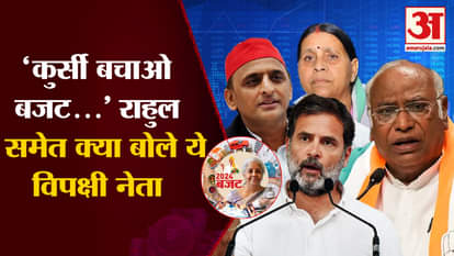 Union Budget 2024: What did opposition leaders including Rahul Gandhi say on the Union Budget