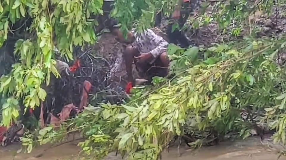 भेड़ी नाले में मासूम का शव फंसा