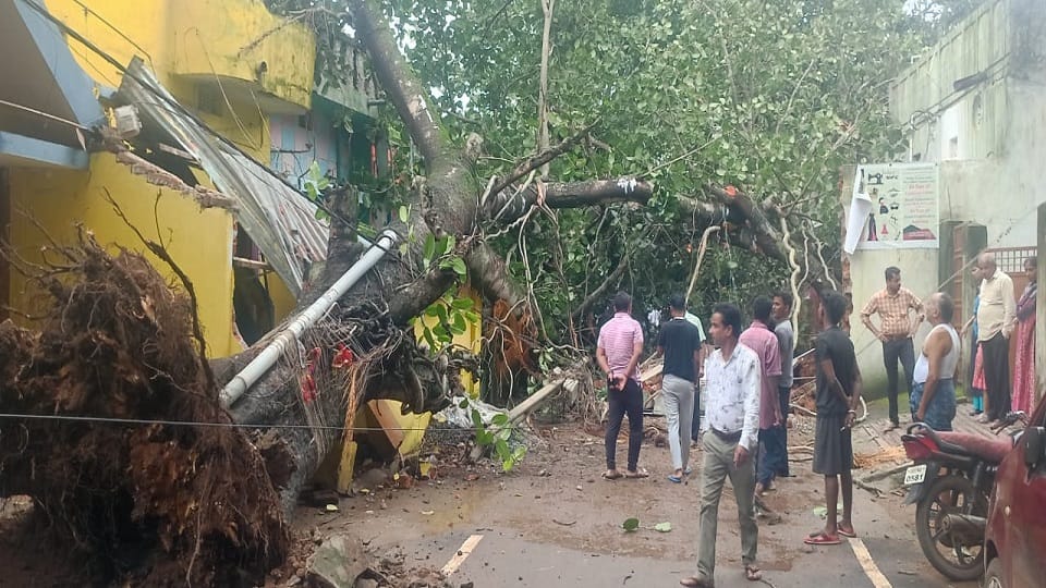 People troubled due to torrential rain vehicles also suffered heavy damage due to falling trees in Jagdalpur