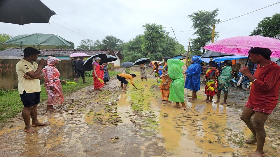 Protest in Sambalpur over unpaved road villagers protested by planting paddy in mud in Kondagaon