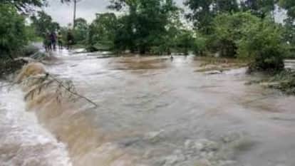 Seoni: Couple climbed a tree after seeing overflowing drain, young man drowned in the drain along with bike