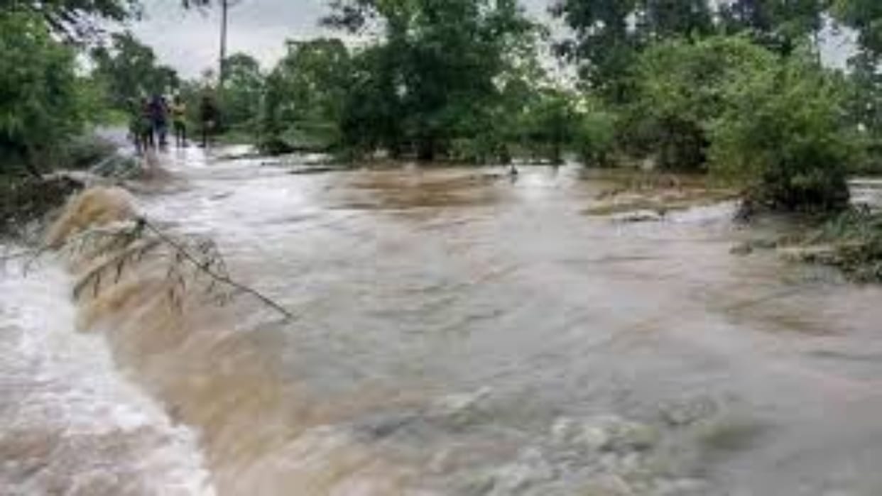 Seoni: Couple climbed a tree after seeing overflowing drain, young man drowned in the drain along with bike