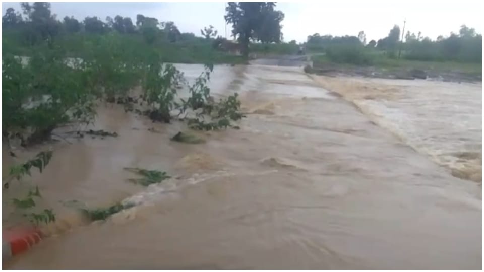 MP Weather Forecast Today IMD Alert for Rain Food Situation in Bina and Tikamgarh Madhya Pradesh News in Hindi