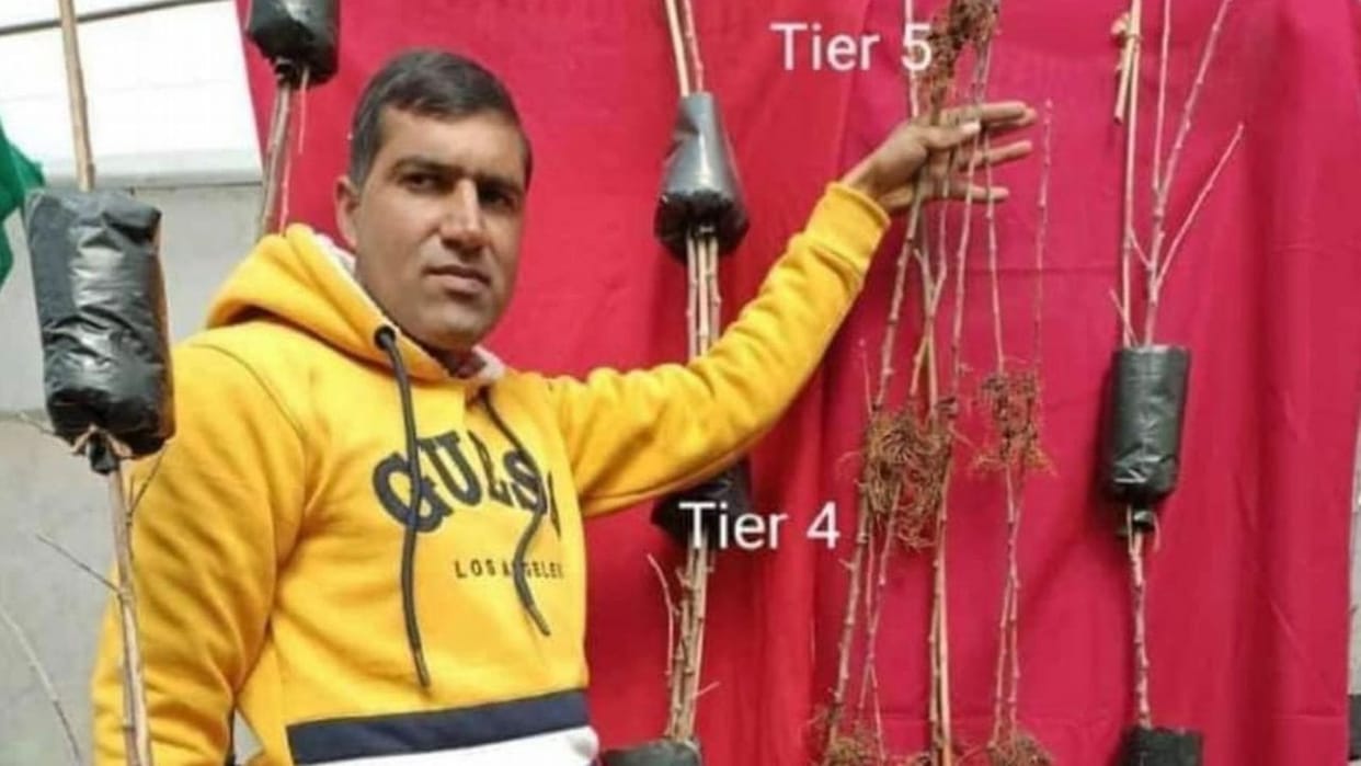 Apple Orchardist of Chamba has created five varieties of apple on one plant