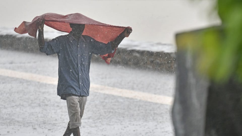 Up Weather Updates Imd Predict Heavy rain alert many places in UP today Easterly winds blow at a speed of 30