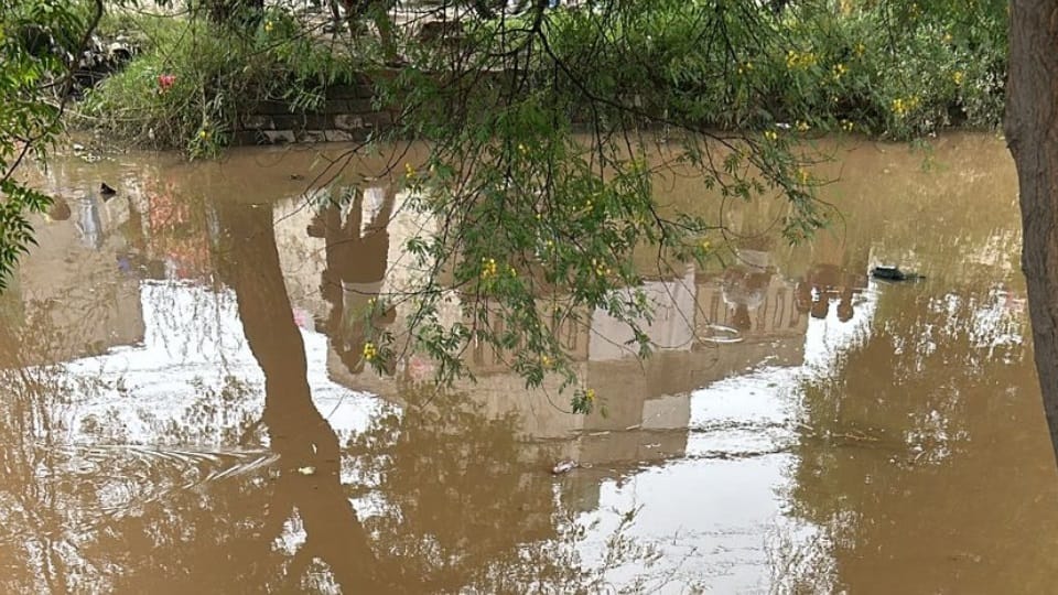 Dead Body Found in Canal in Jalandhar