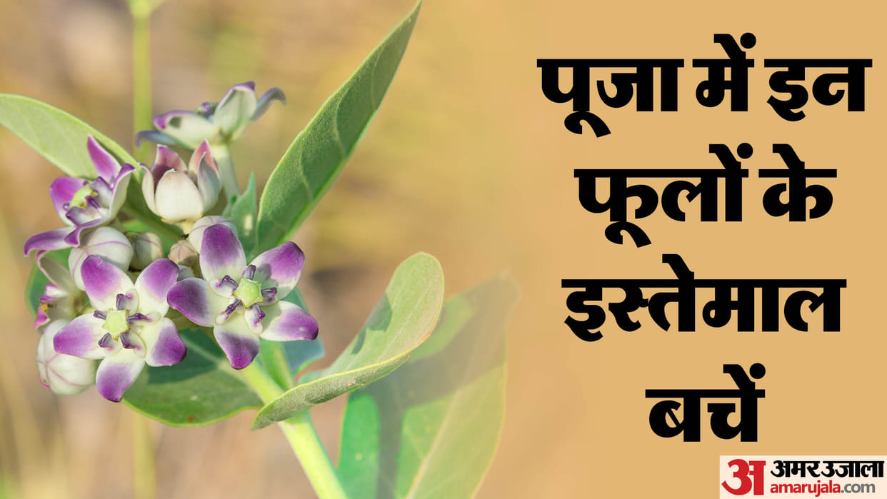 these 5 flowers should not use in puja know in hindi