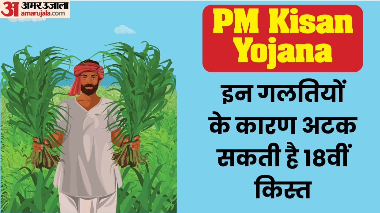 PM Kisan Nidhi 18th installment may get stuck due to these mistakes