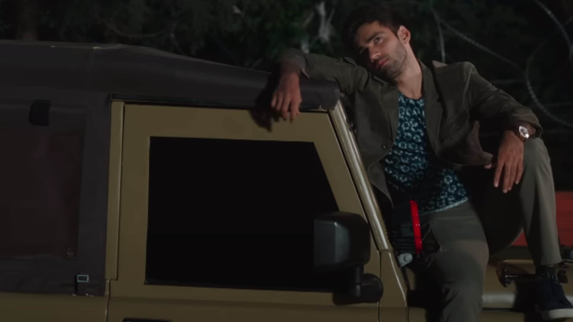 Triptii Dimri Avinash Tiwary movie laila majanu re released in kashmir theaters in august