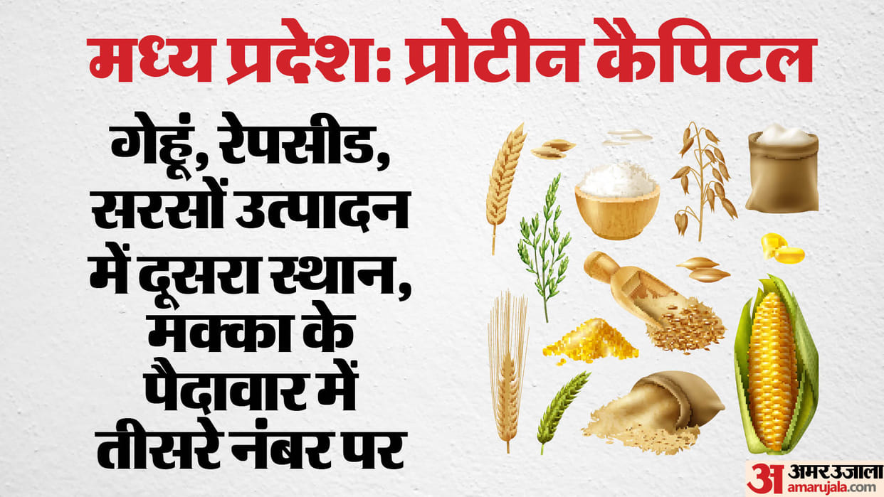 Madhya Pradesh Agriculture Success Soya State Protein Capital like recognition