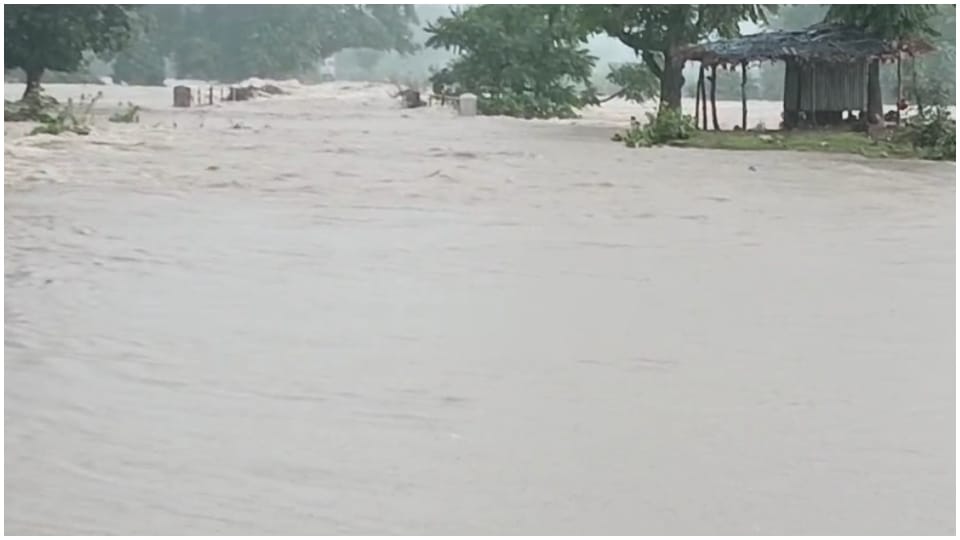 MP Weather Today: Flood like situation in 50 villages in Katni Tikamgarh road connection with Chhatarpur lost
