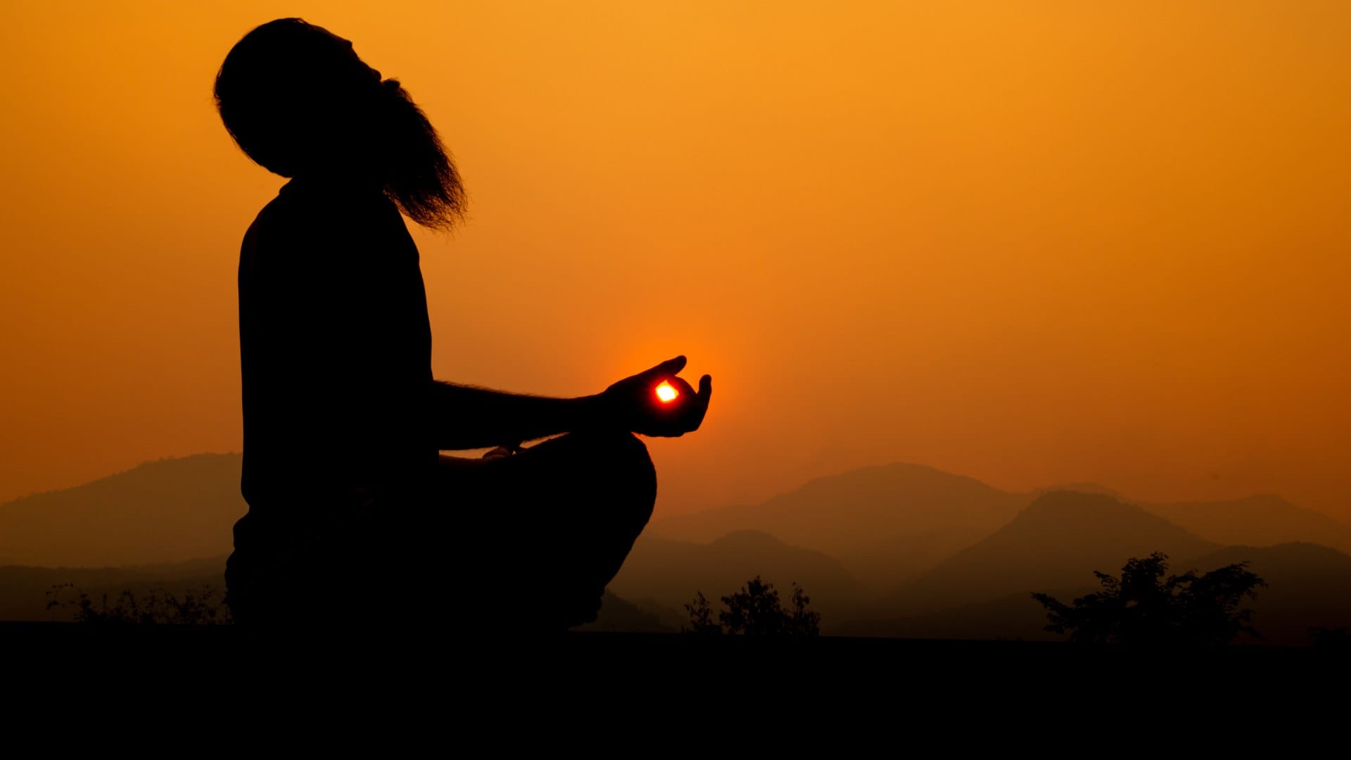 Mysterious Things a Human being wants to do but rarely does know the Interesting Facts in Hindi