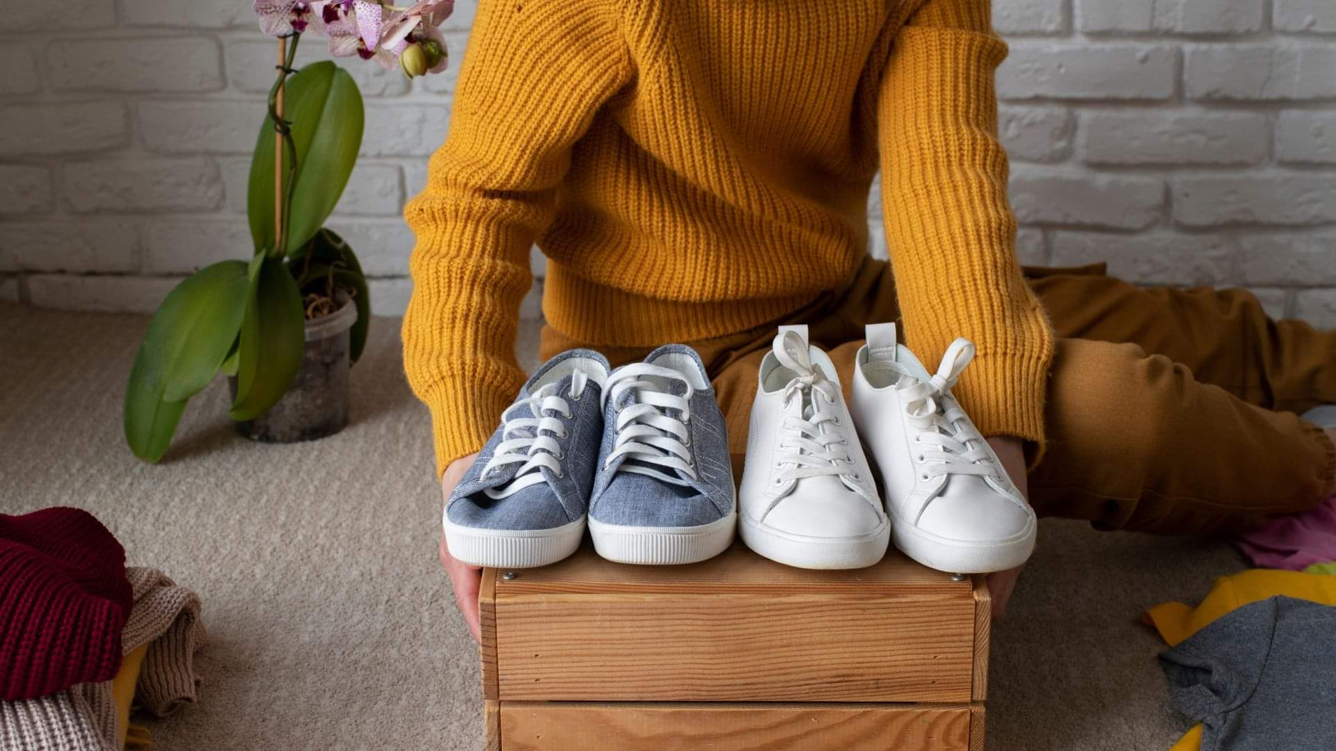 Vastu Tips in Hindi Avoid These Mistakes to Prevent Financial Shortages in Hindi