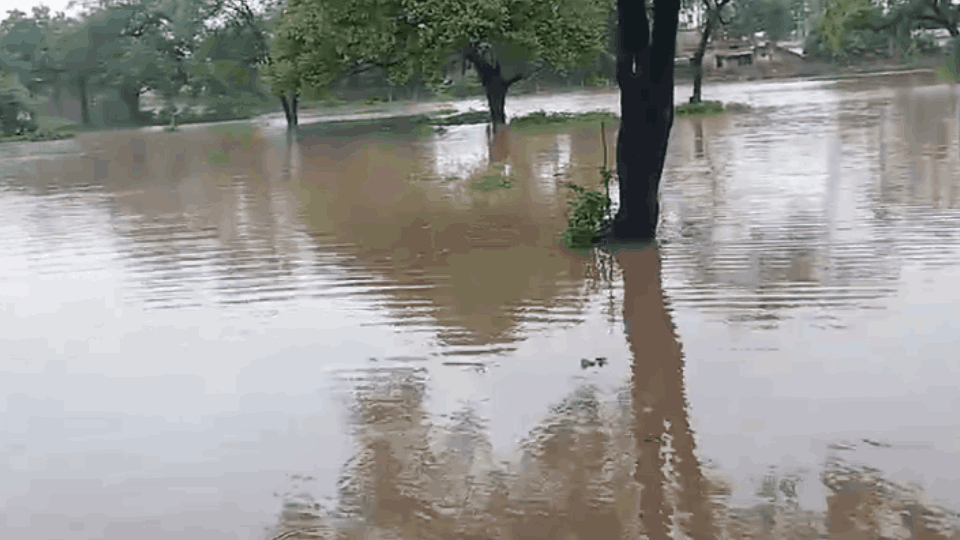बारिश के पानी में डूबे खेत