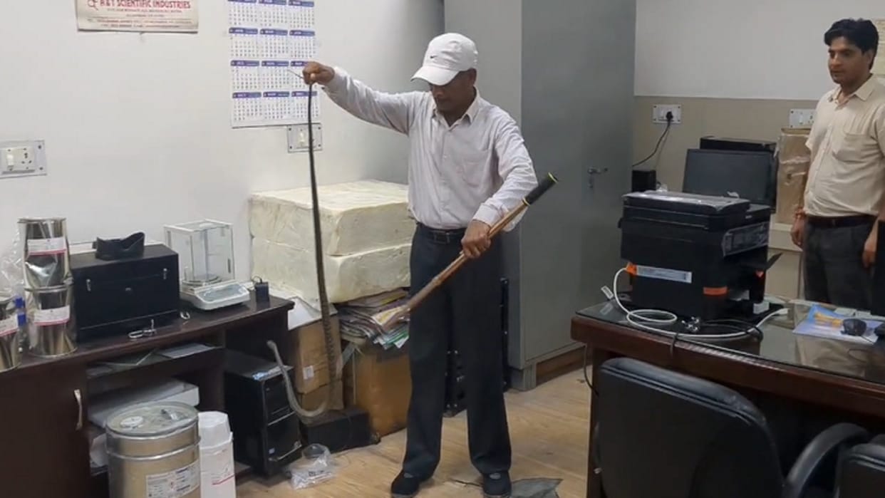 Allahabad University: Six feet long snake entered the chemistry lab... created panic among the students