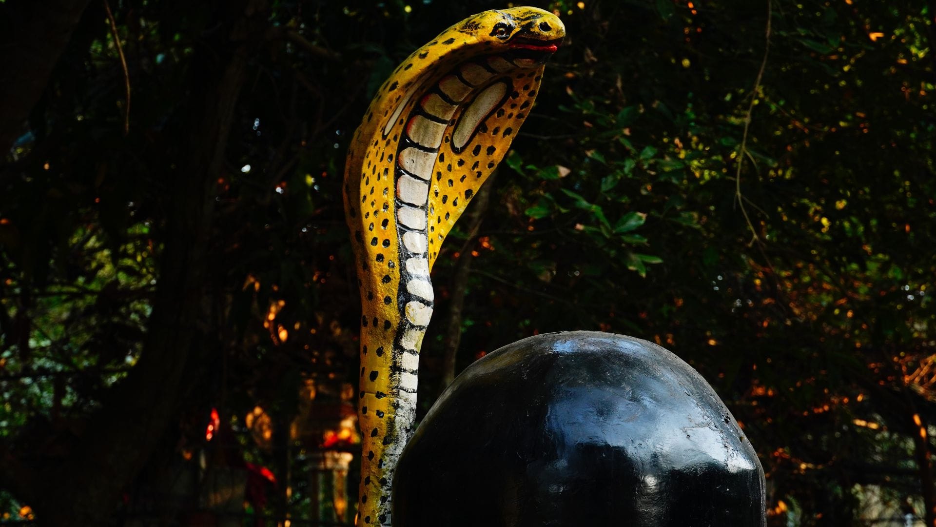 nagpanchami date tithi beliefs Why are snakes mysterious among humans in hindi