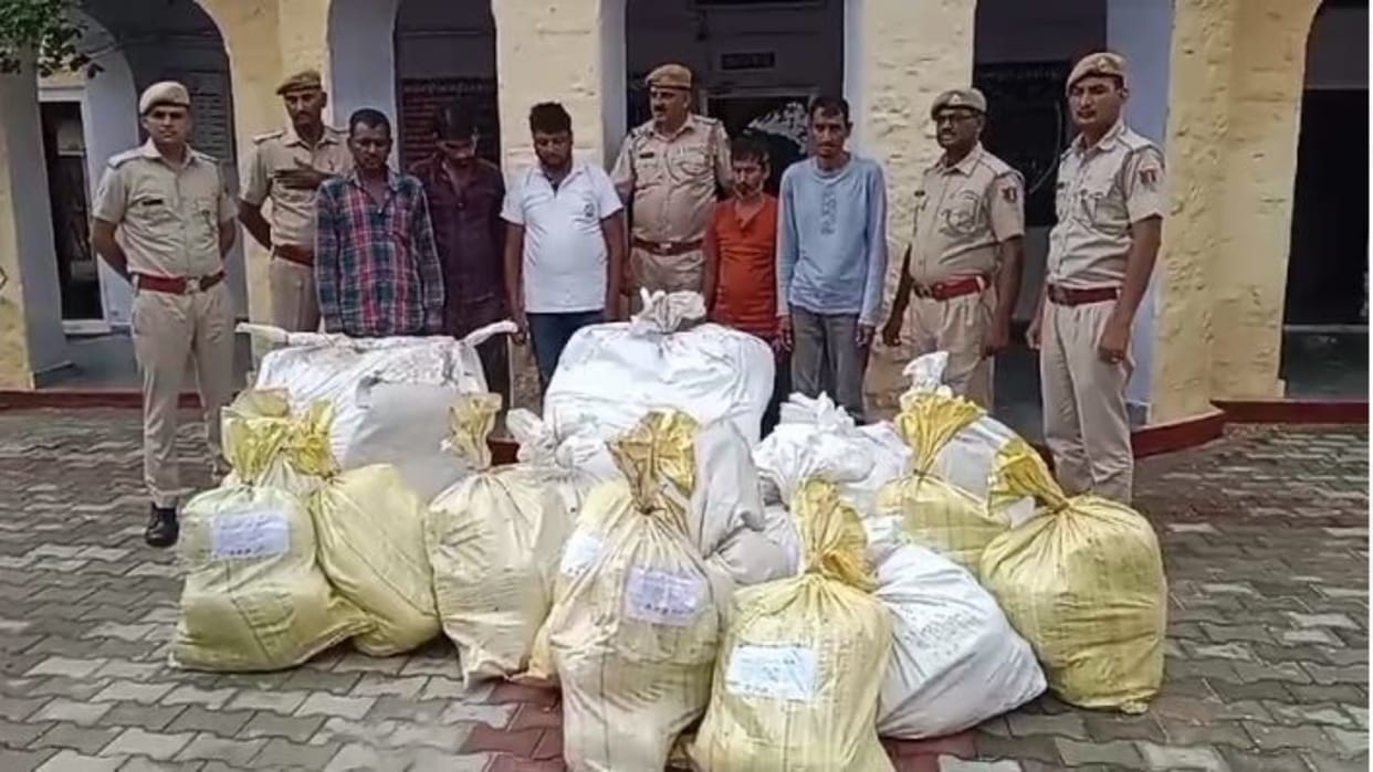 Sawai Madhopur: 567 kg illegal ganja being transported in mini truck seized, action taken during blockade