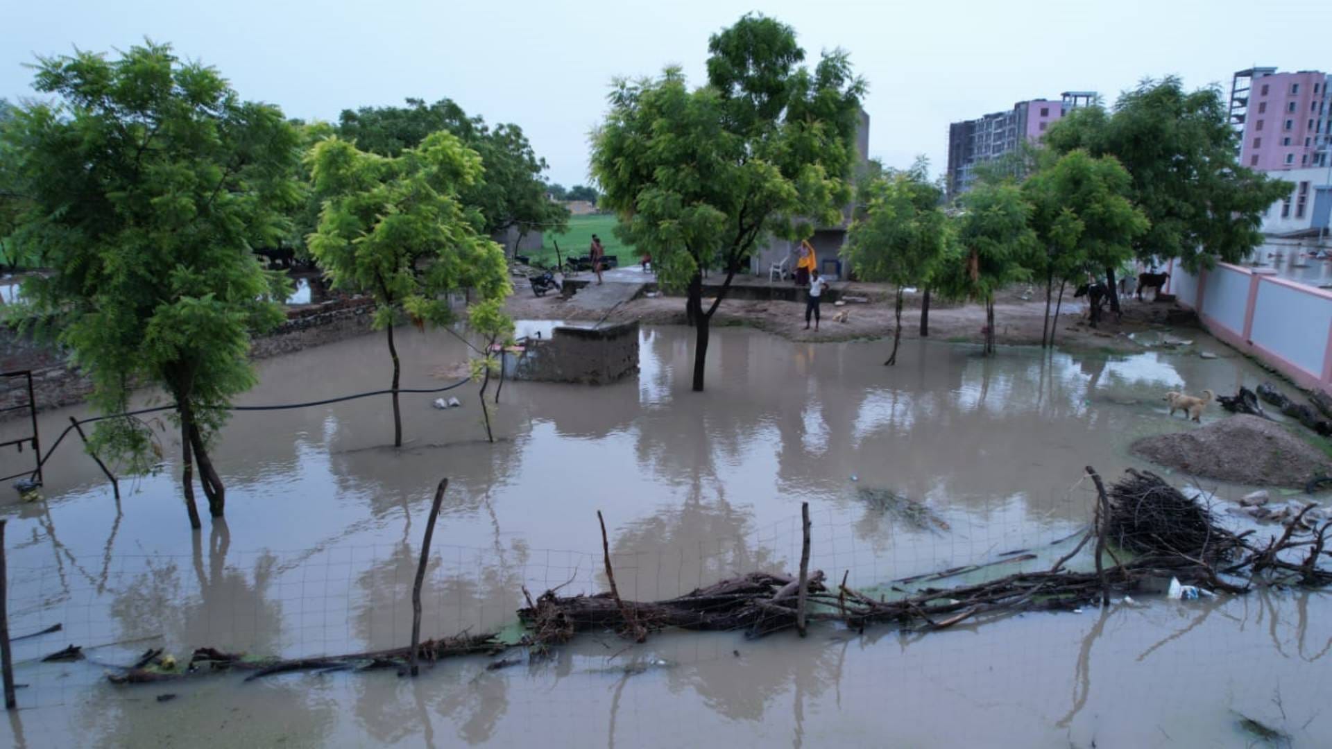 Flood situation in Dausa Rajasthan see scene in exclusive drone pictures