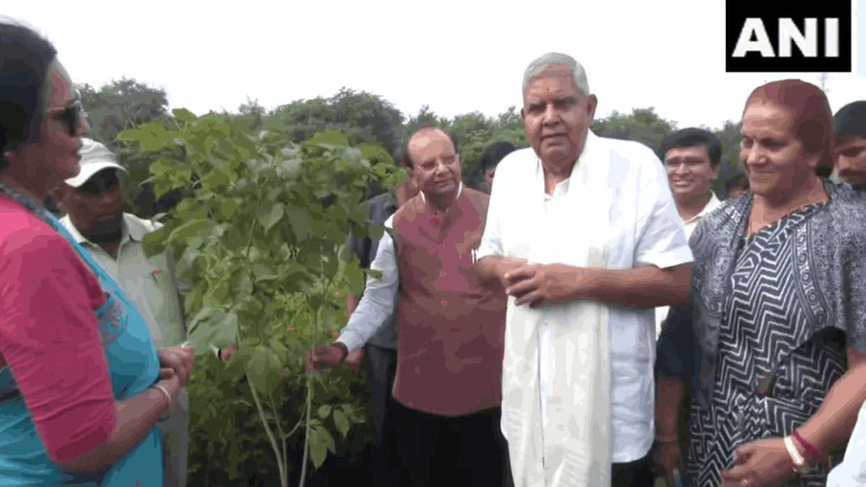 Vice President and Delhi LG planted a sapling on Ek Ped Maa Ke Naam campaign