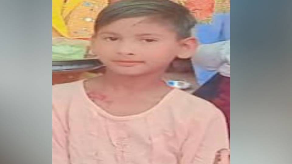 girl died due to snake bite In Mathura family woke up on hearing her scream She bitten while sleeping on bed