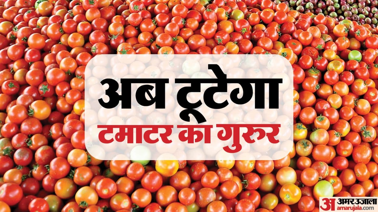 NCCF announced retailing tomatoes at Rs 60 per kg in delhi ncr