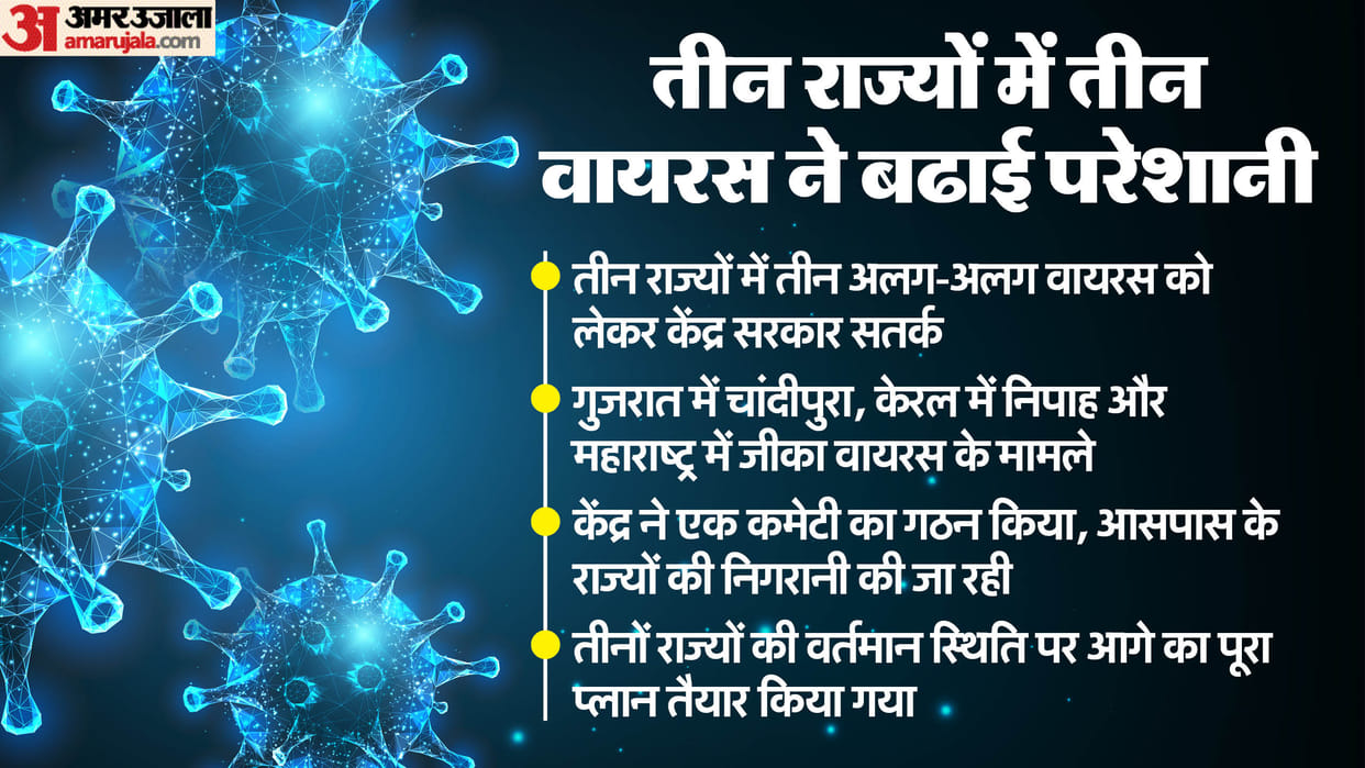 Chandipura Virus: government in alert mode due to Chandipura virus this is how ministry made strategy to deal