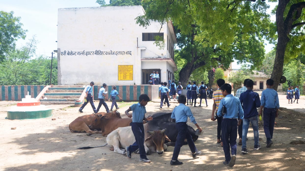 Annie Besant School: Less children, there is a crowd of cows and goats, science is not taught due to lack of c