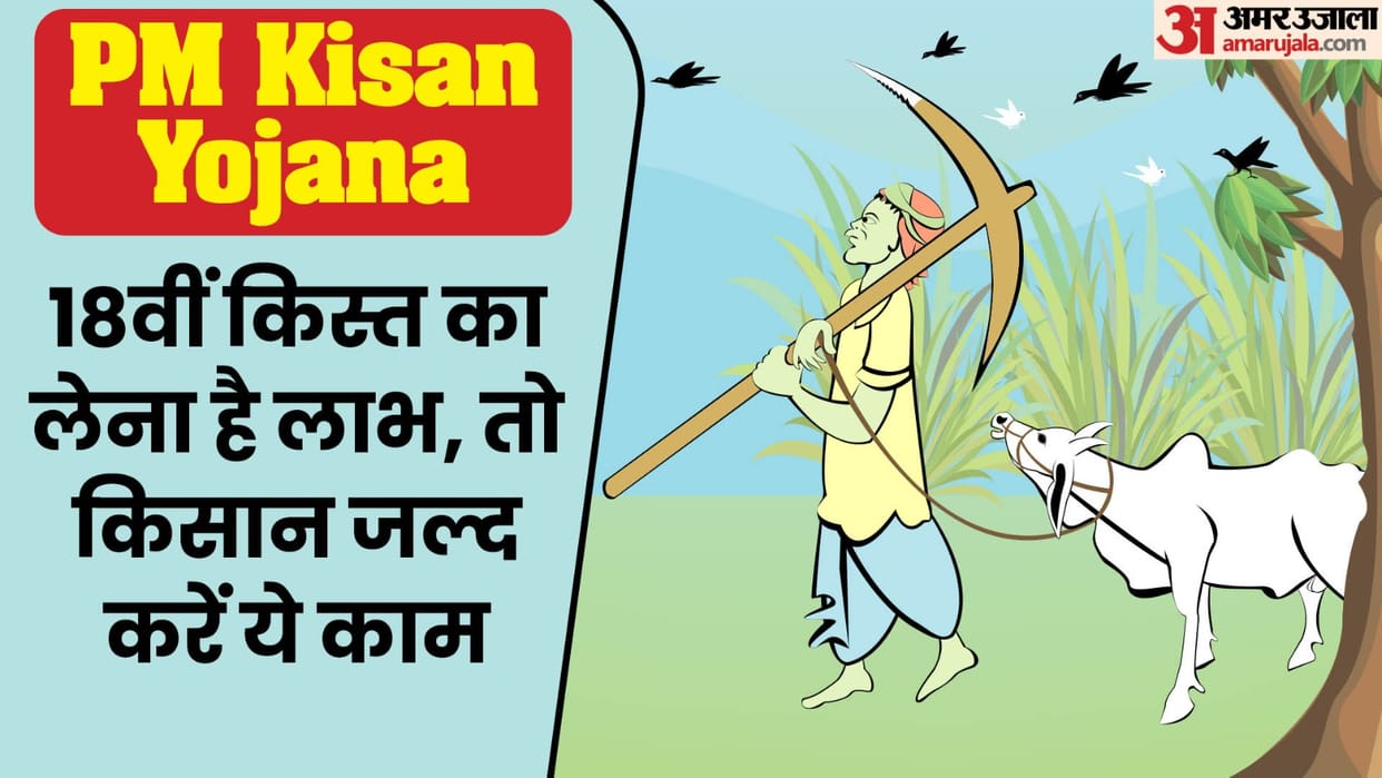 PMKY: How to apply for PM Kisan Samman Nidhi Yojana