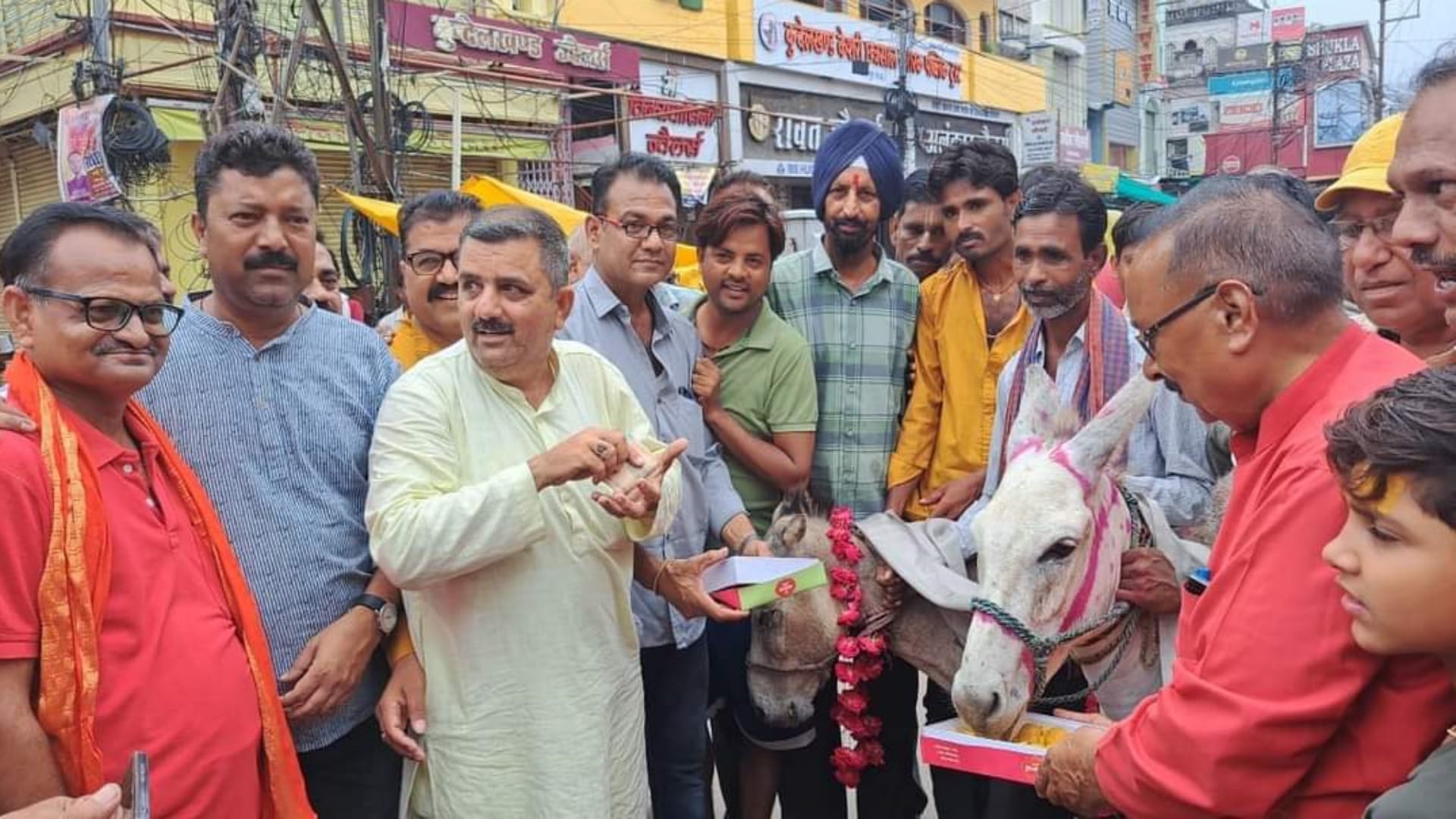MP News After frog and frog people got donkey and donkey married for good rain in Chhatarpur see photos