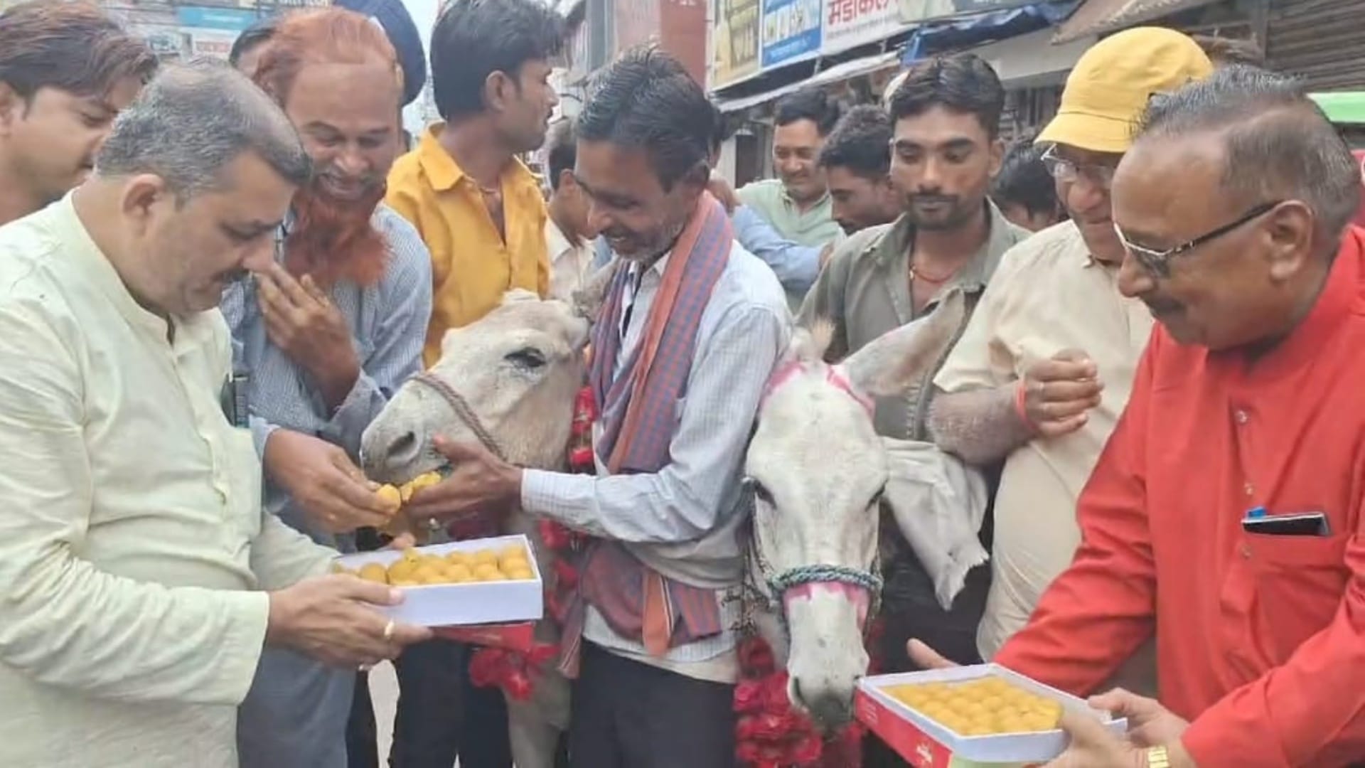 MP News After frog and frog people got donkey and donkey married for good rain in Chhatarpur see photos