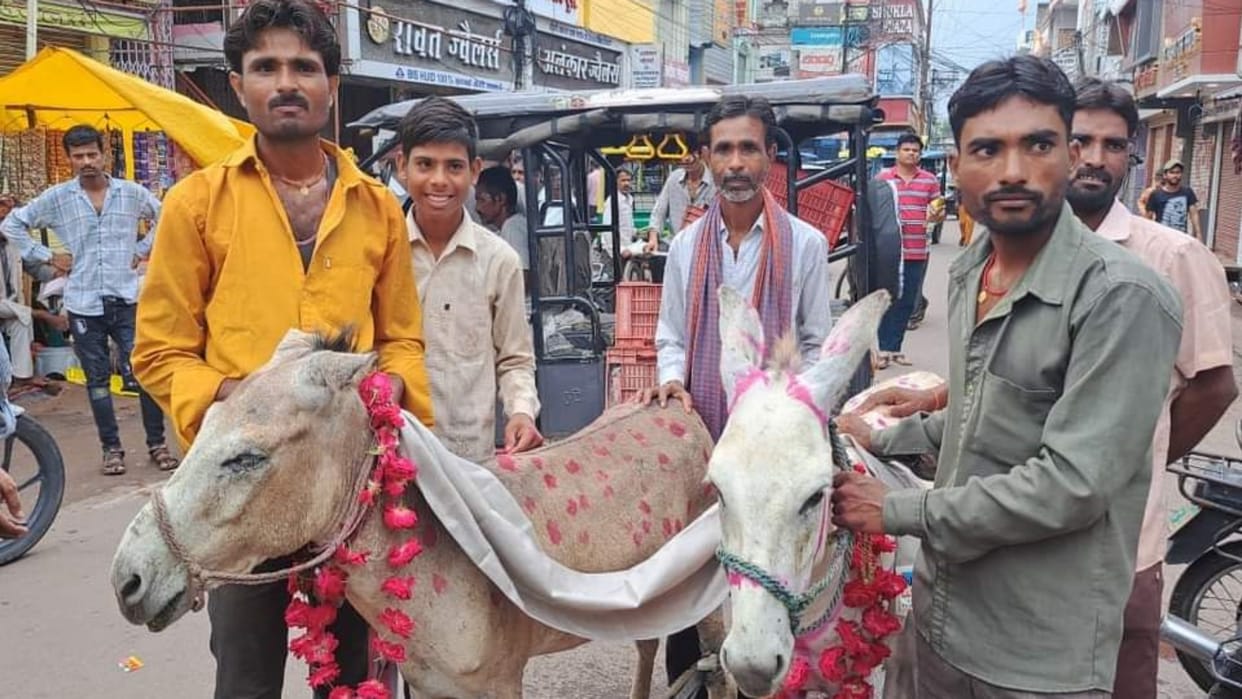 MP News After frog and frog people got donkey and donkey married for good rain in Chhatarpur see photos