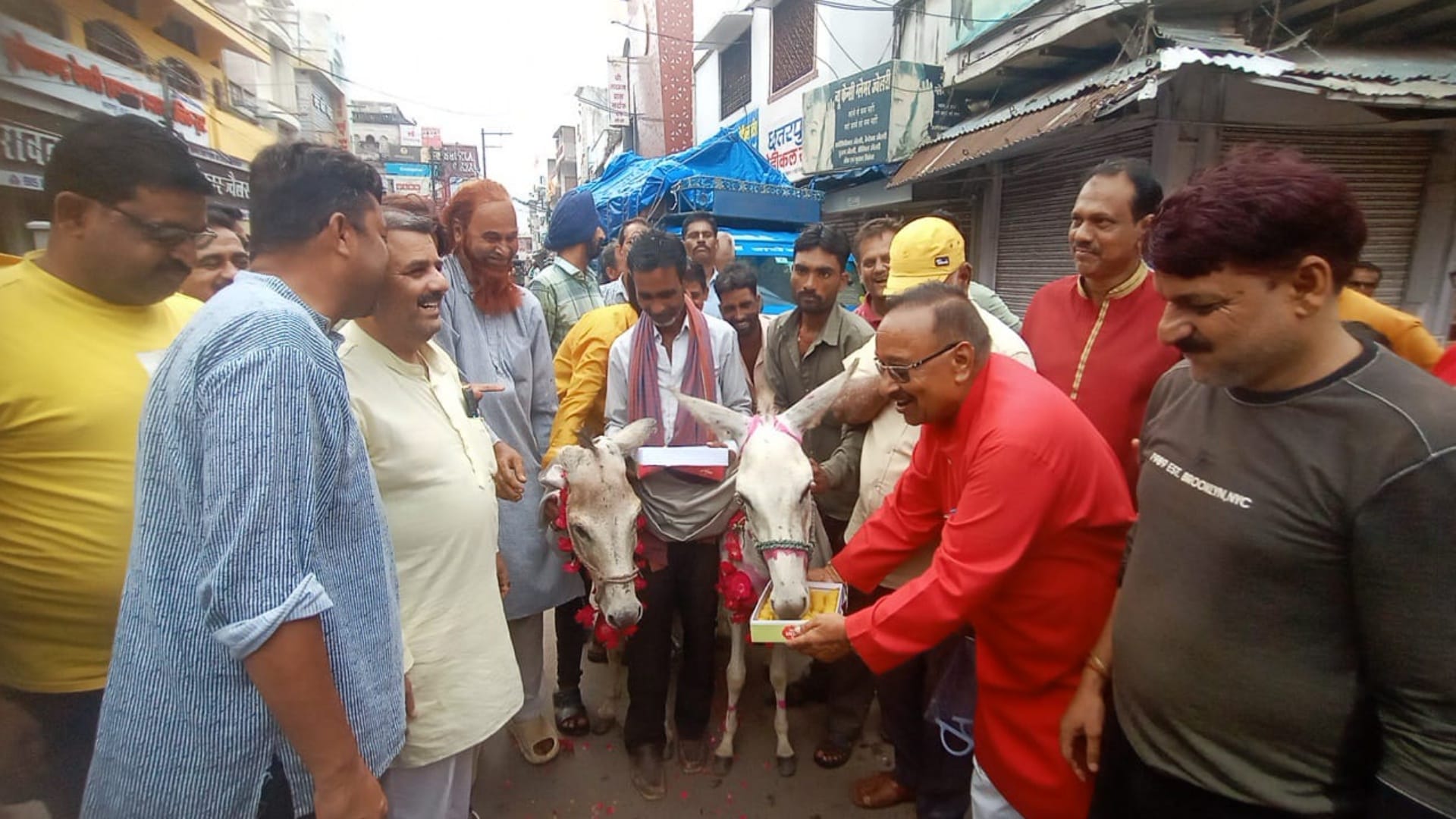 MP News After frog and frog people got donkey and donkey married for good rain in Chhatarpur see photos