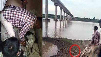 crocodile came in way dogs attacked him In Agra he saved his life by hiding in toilet