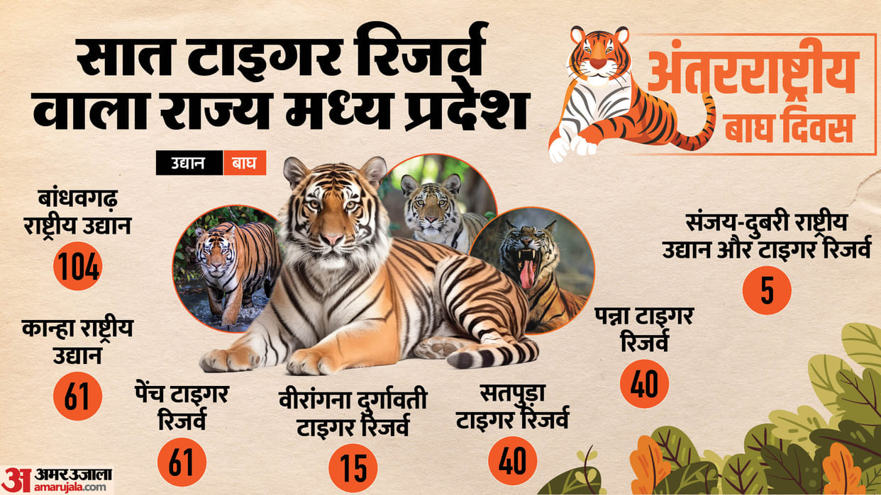 World Tiger Day: India doubled the targets of St.Petersburg Tiger Summit and the number of tigers in MP triple