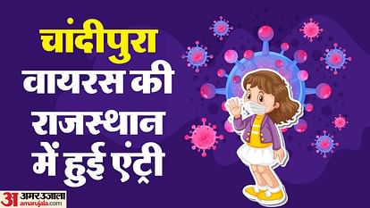 Rajasthan News Three Year Old Child Found Infected With Chandipura Virus in Dungarpur Know Report