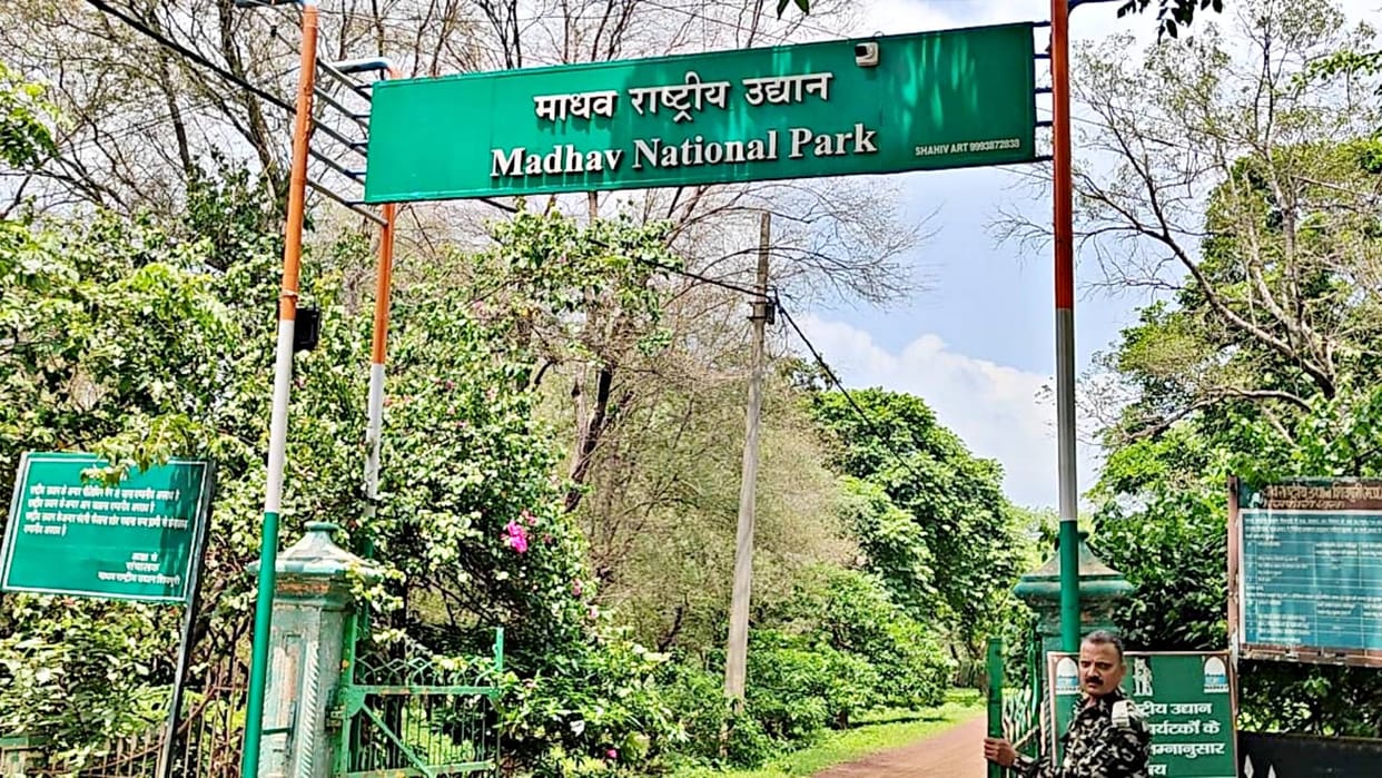 Madhav National Park Declared as a Tiger Reserve, Becomes the Eighth in the State