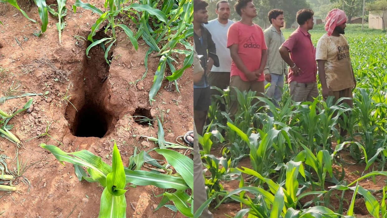 MP News Singrauli Three-year-old innocent girl fell into 100 feet deep borewell rescue operation underway