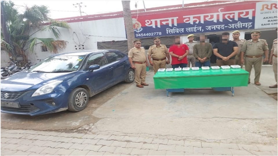 Three criminals of interstate cyber gang caught