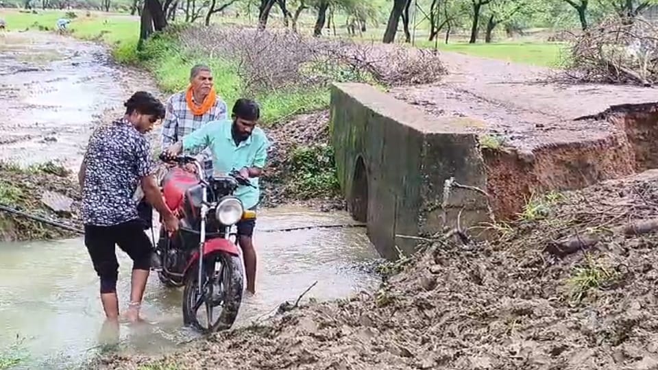 bridge was washed away due to continuous rain people were crossing the bridge risking their lives in Balod