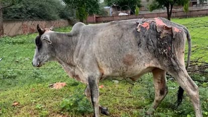 राजस्थान