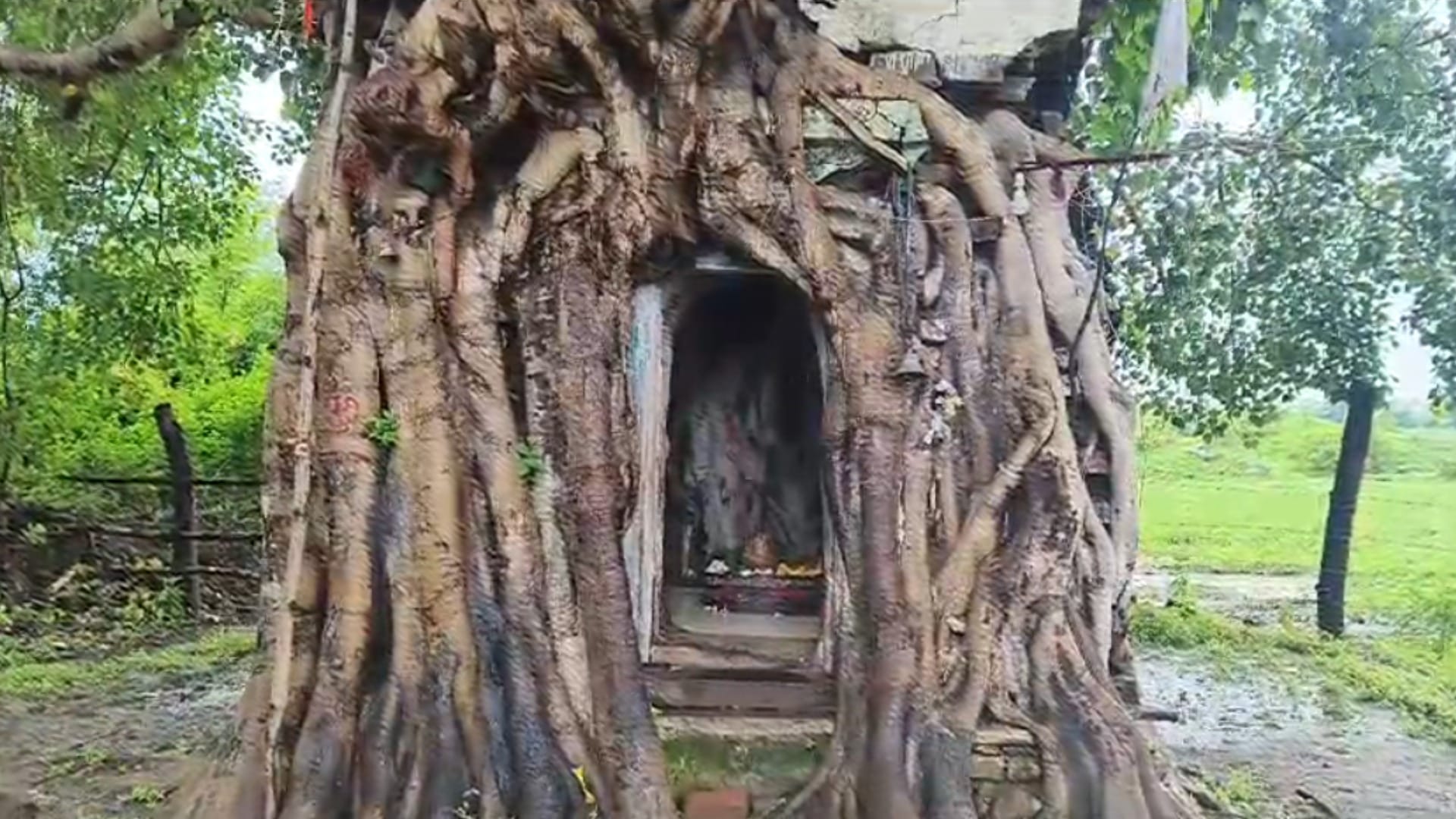 Sawan Somwar Sagar Mehka Kerpani Shiv Temple Peepul Tree