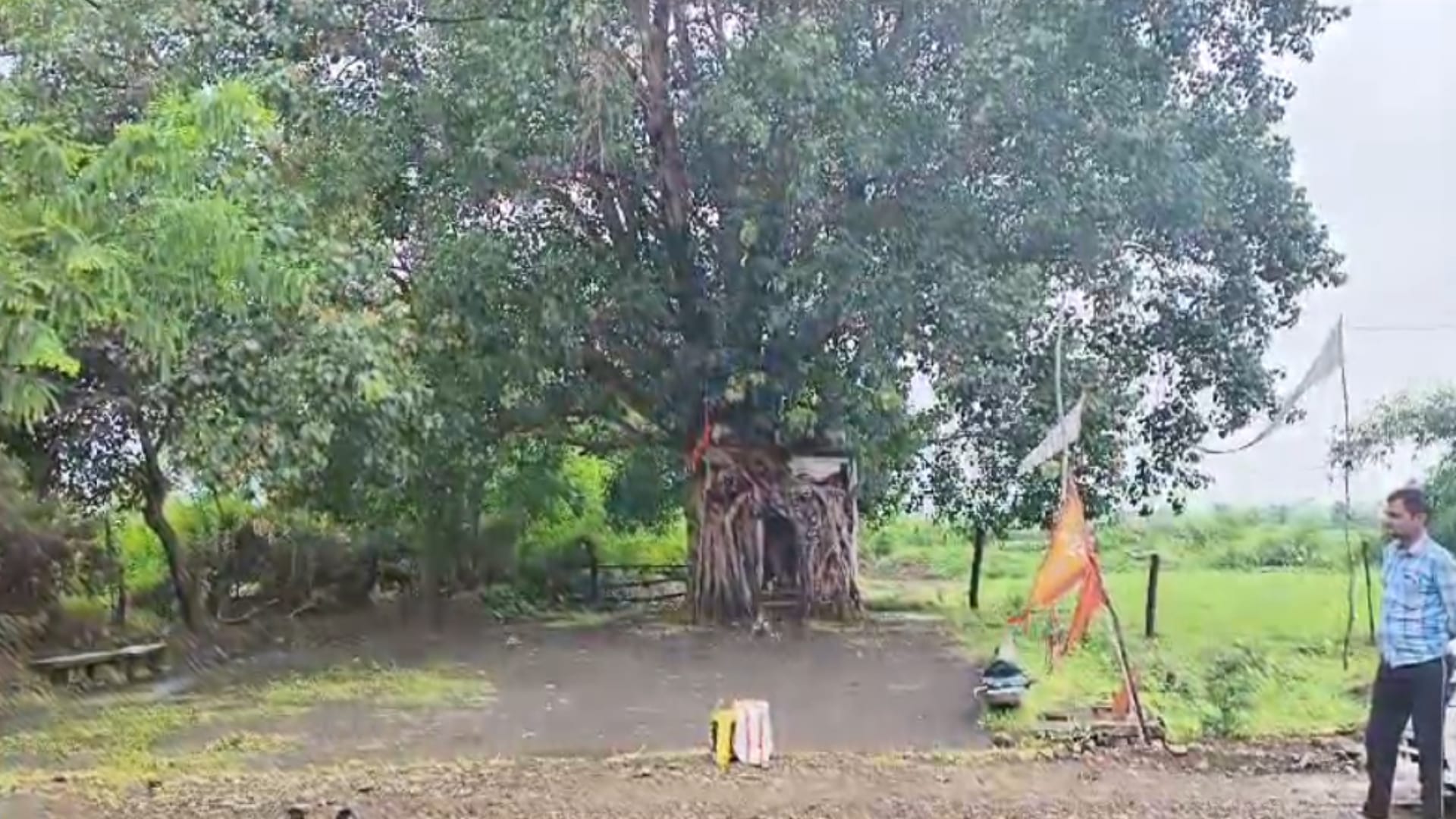 Sawan Somwar Sagar Mehka Kerpani Shiv Temple Peepul Tree