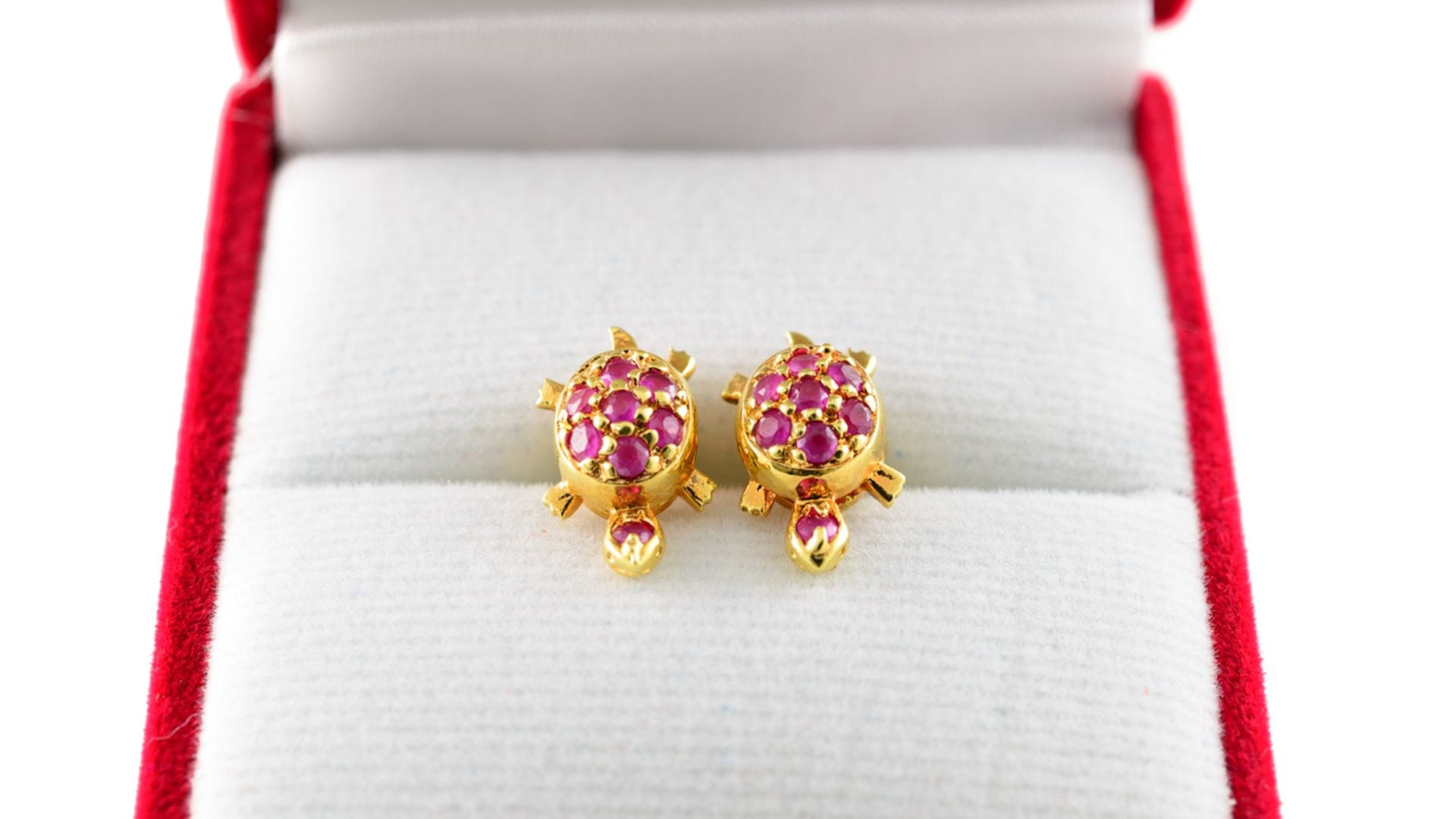 turtle ring attract money kachua ki anguthi pahnane ke fayde in details in hindi