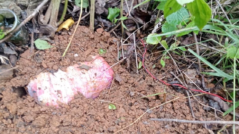Naxals plans foiled soldiers recovered 10 kg IED and deactivated it in Bijapur