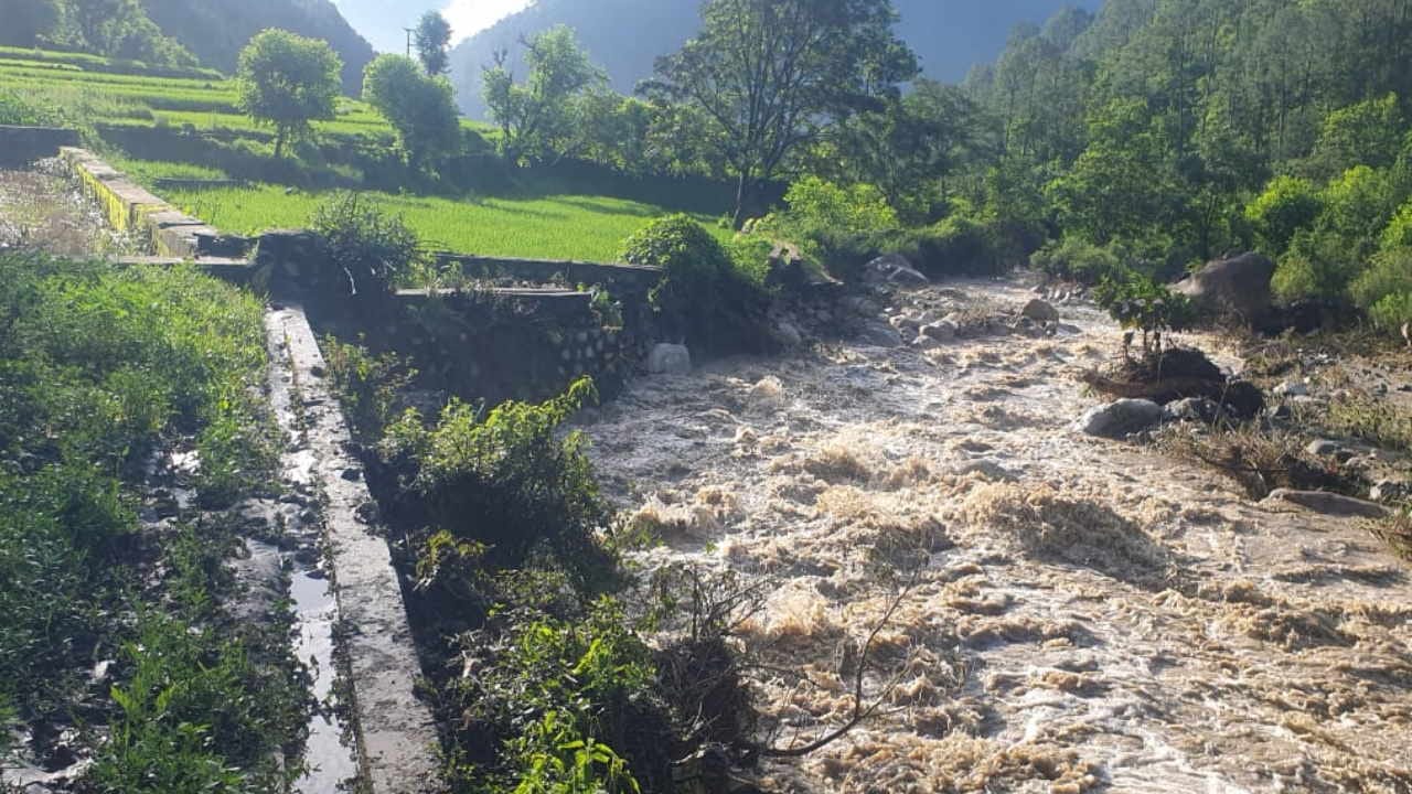People crossing the overflowing Supin river with the help of a tree trunk Danger Uttarkashi Uttarakhand News