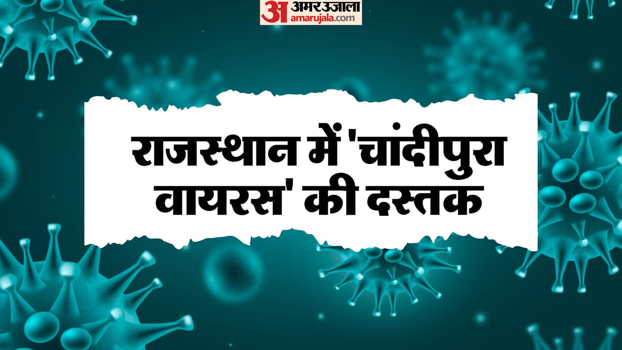 Jaipur News: Positive case of 'Chandipura virus' found in Dungarpur