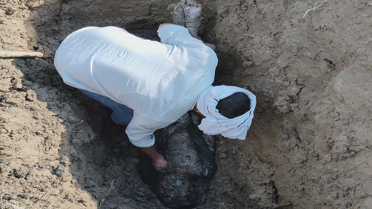 After the testimony of the son, the womans grave was not dug, she had died five days ago