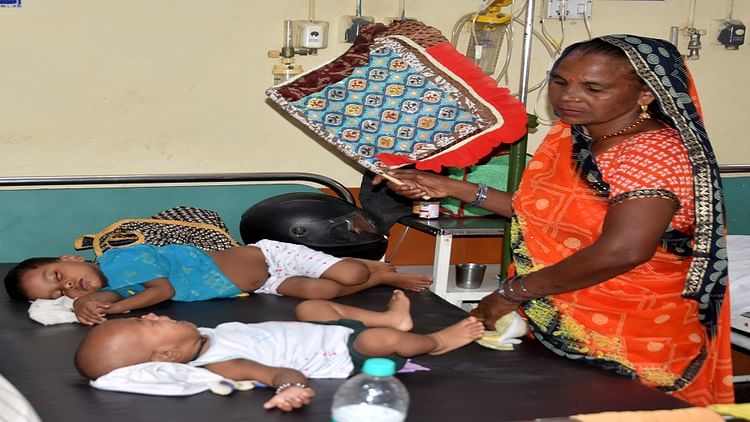 Aligarh News: वायरल संक्रमण बढ़ा, रोजाना हो रहीं 2500 जांचें, मलेरिया और डेंगू का भी खतरा ज्यादा