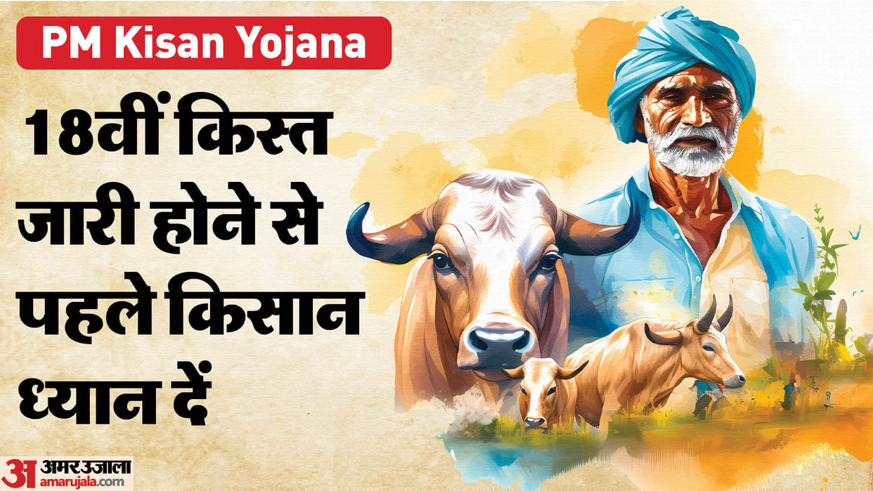 PM Kisan Nidhi: For which farmers the 18th installment may get stuck